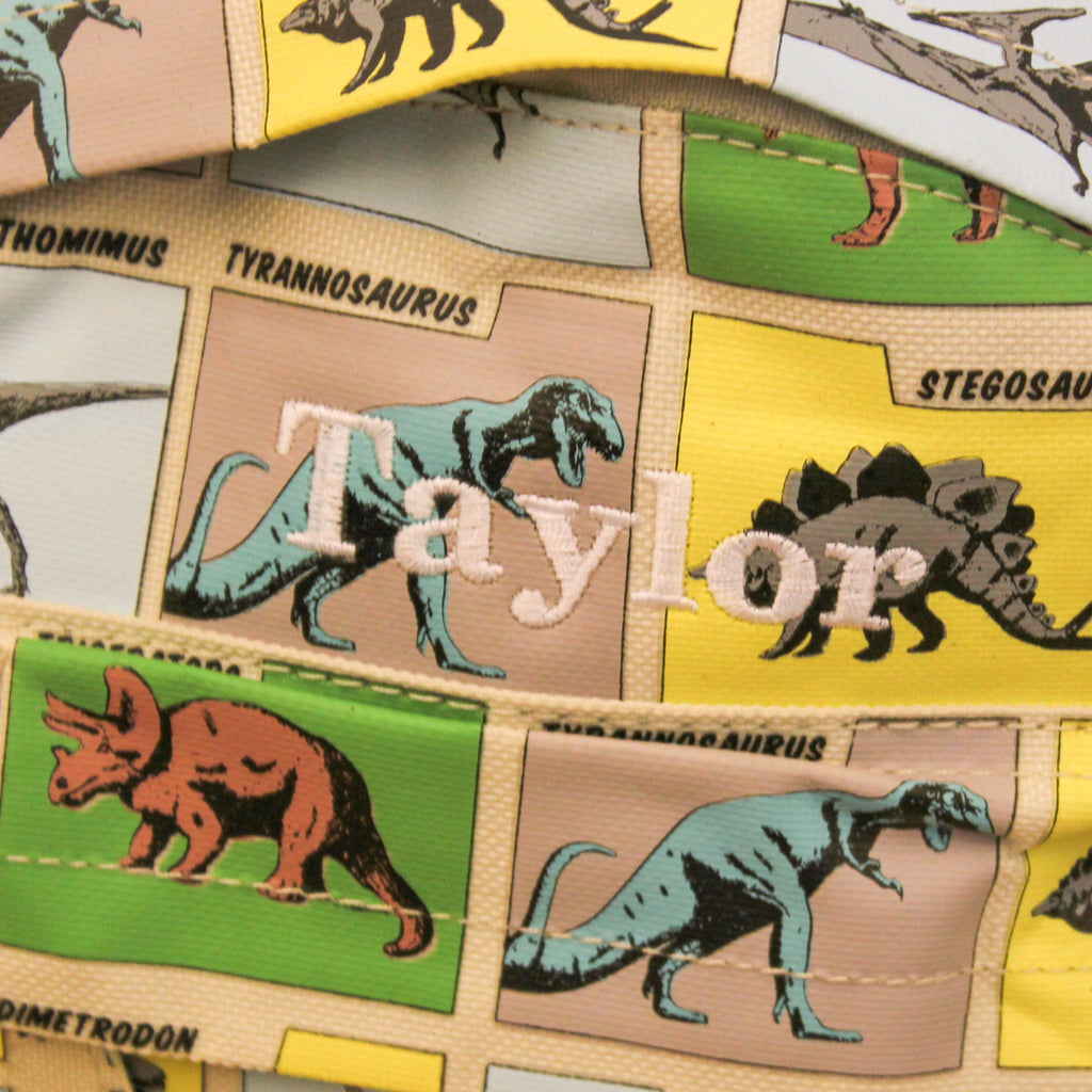 Personalised Dinosaur Backpack For Kids School Travel