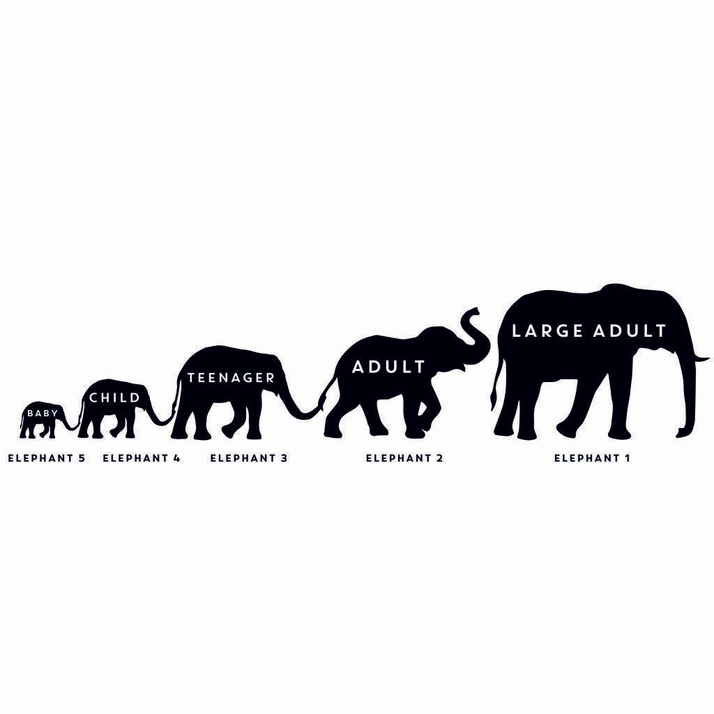 Personalised Elephant Family Door Mat