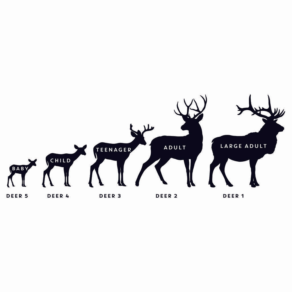 Personalised Stag Family Wall Sticker